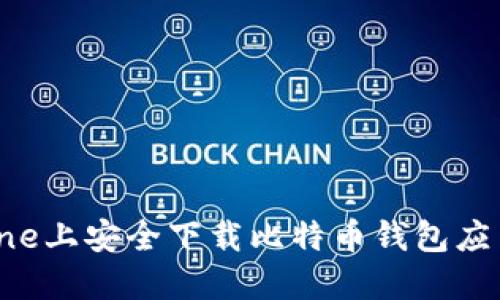 如何在iPhone上安全下载比特币钱包应用：全面指南