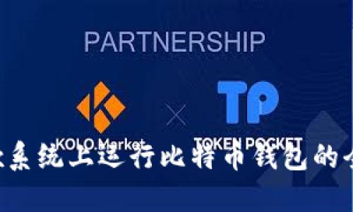 在Linux系统上运行比特币钱包的全面指南