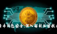 如何确保比特币钱包安全：深入解析加密技术与