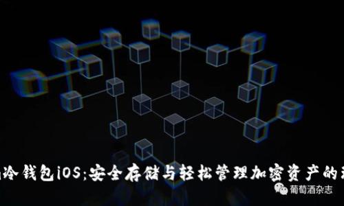 Tokenim冷钱包iOS：安全存储与轻松管理加密资产的理想之选