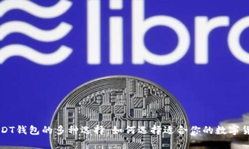 深入了解USDT钱包的多种选择：如何选择适合你的数字货币存储方式