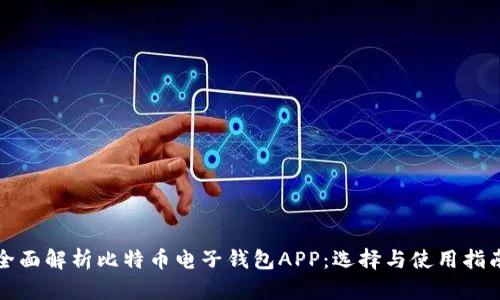 全面解析比特币电子钱包APP：选择与使用指南