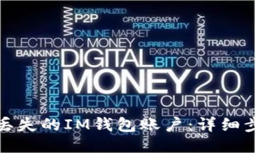 如何找回丢失的IM钱包账户：详细步骤与技巧