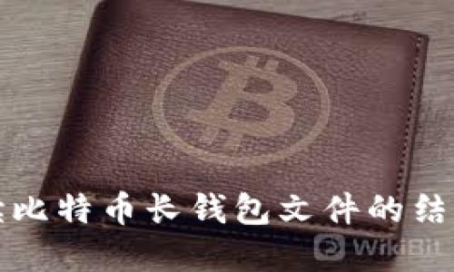 全面解读比特币长钱包文件的结构与功能