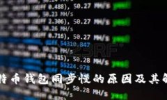 揭秘比特币钱包同步慢的原因及其解决方法