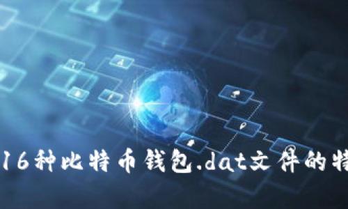 全面解析16种比特币钱包.dat文件的特性与应用
