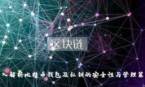 深入解析比特币钱包及私钥的安全性与管理策略