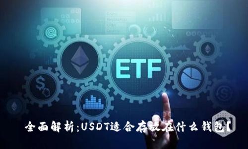  全面解析：USDT适合存放在什么钱包？