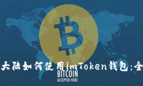 在中国大陆如何使用imToken钱包：全面指南