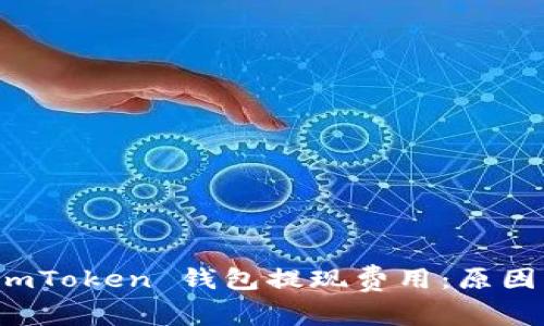理解 imToken 钱包提现费用：原因与策略