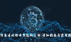 如何查看比特币钱包的公钥：详细指南与实用技