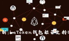 : 全面解析：imToken钱包能否支持BTC存储？