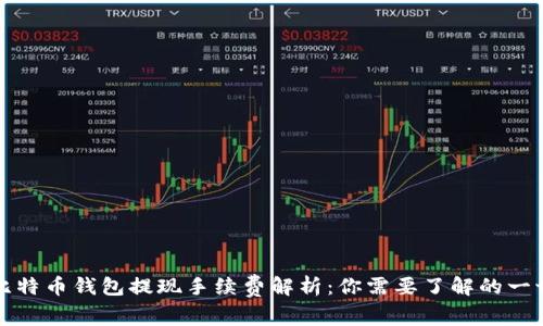 比特币钱包提现手续费解析：你需要了解的一切
