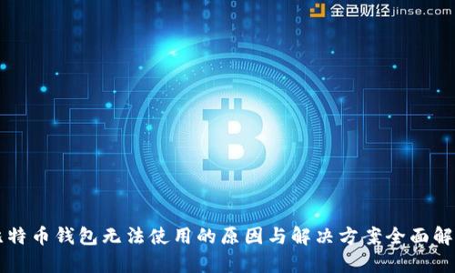比特币钱包无法使用的原因与解决方案全面解析