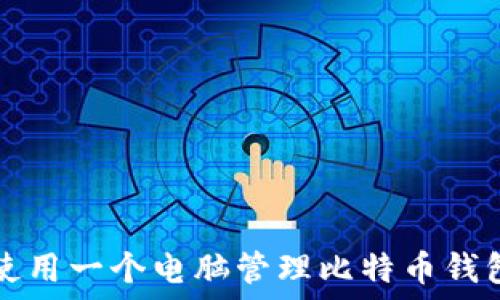   
如何安全地使用一个电脑管理比特币钱包的全面指南