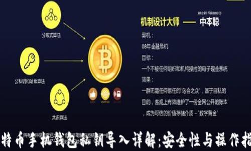 
比特币手机钱包私钥导入详解：安全性与操作指南