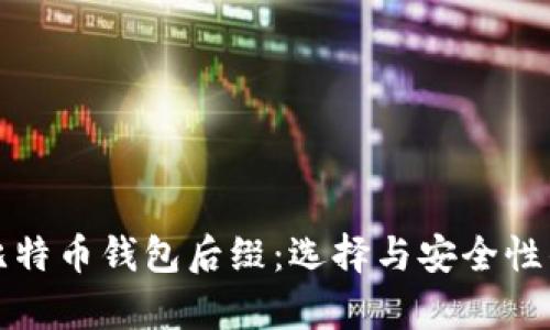 全面解析比特币钱包后缀：选择与安全性的关键因素