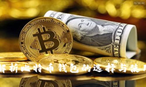 全面解析比特币钱包的选择与使用指南