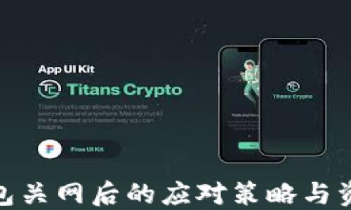 
imToken钱包关网后的应对策略与资产安全指南