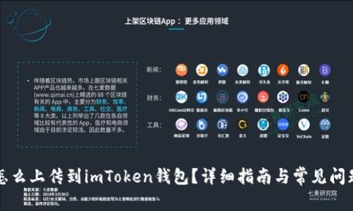 新币怎么上传到imToken钱包？详细指南与常见问题解答